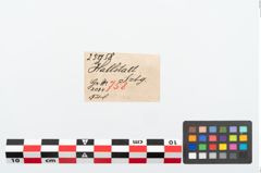 Etikett zu Bronzekahnfibel (NHMW-PRAE-025958)